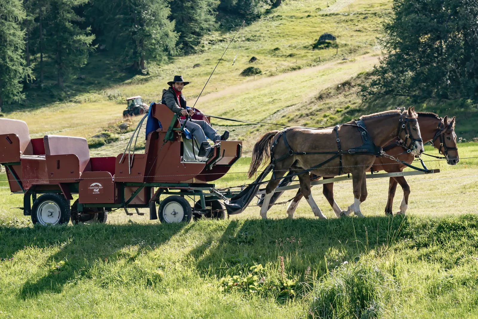 Two-horse carriage on a summer meadow