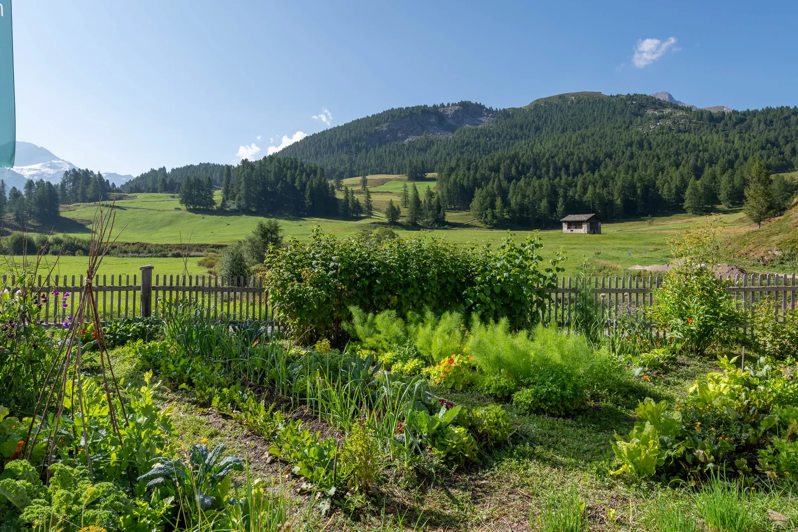 L'orto con vista sulla valle