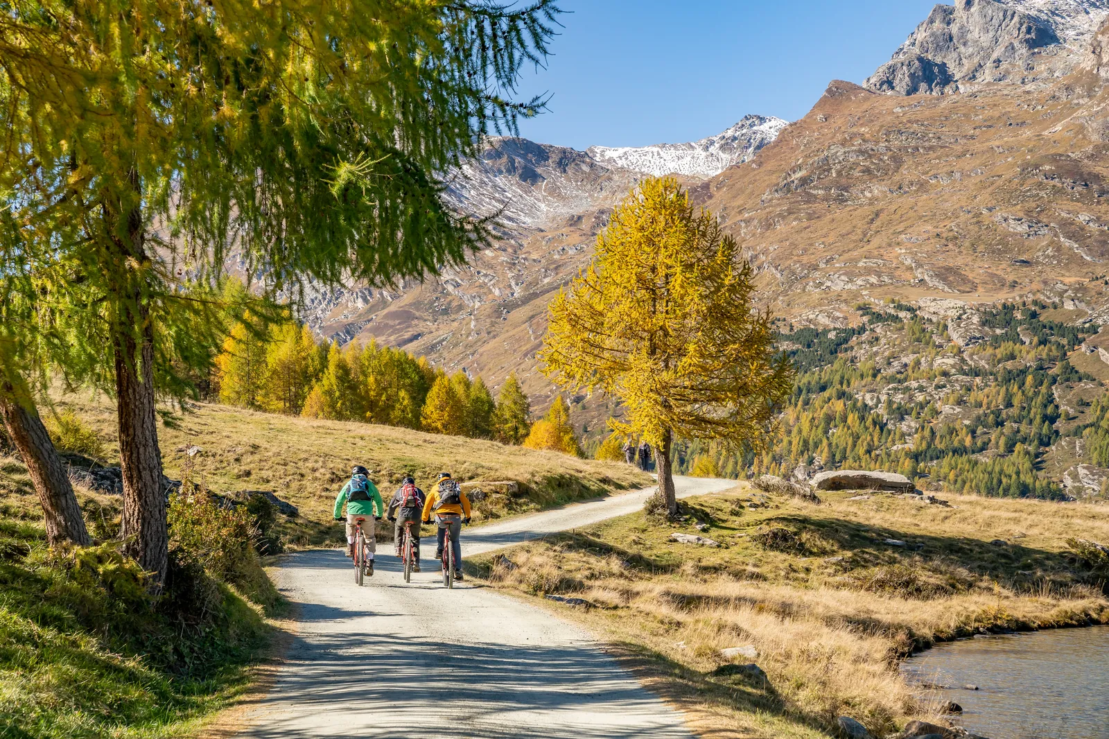 Tre ciclisti su un sentiero tra larici dorati vicino all'acqua