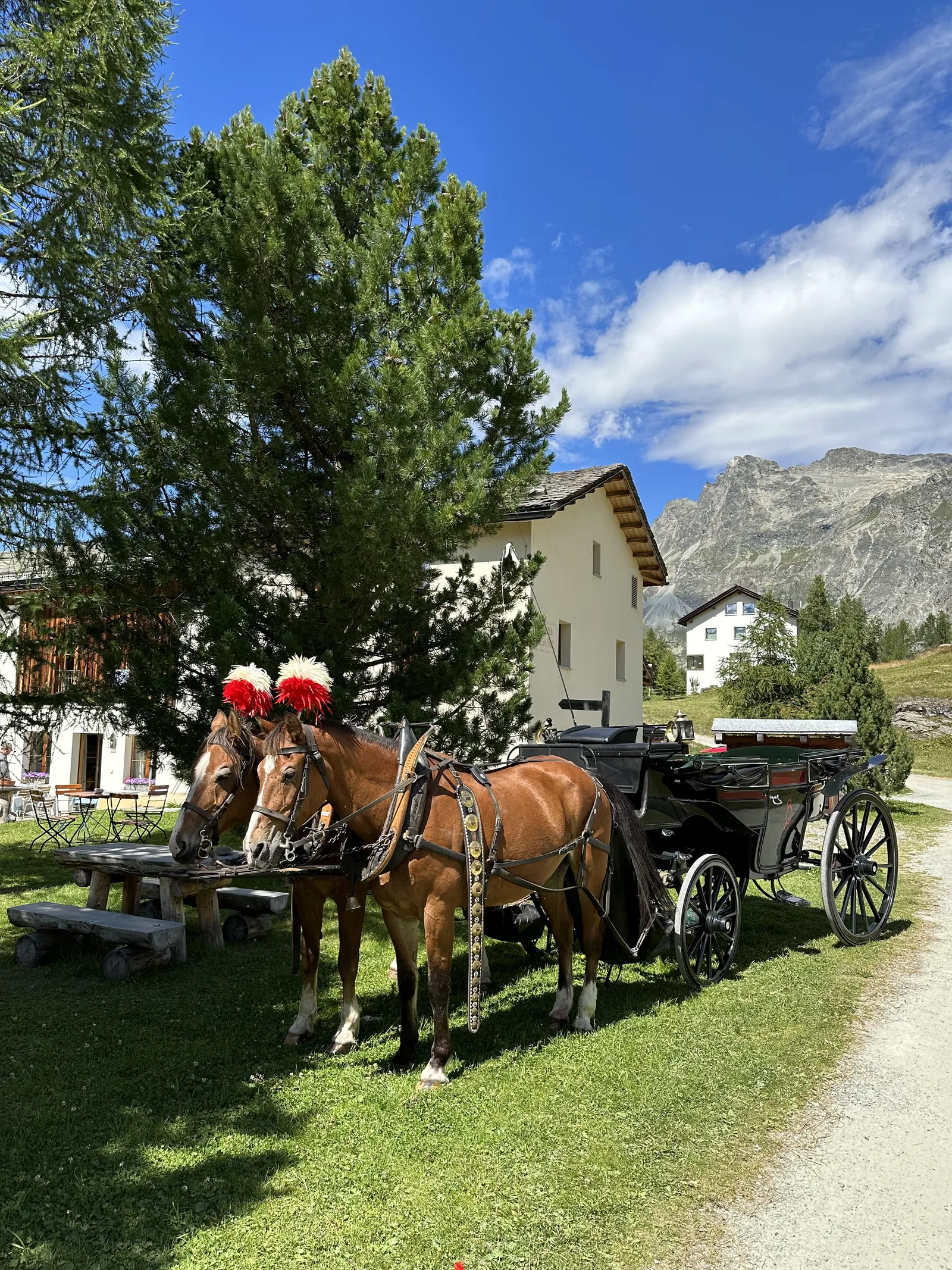 Pferdekutsche vor der Chesa Pool