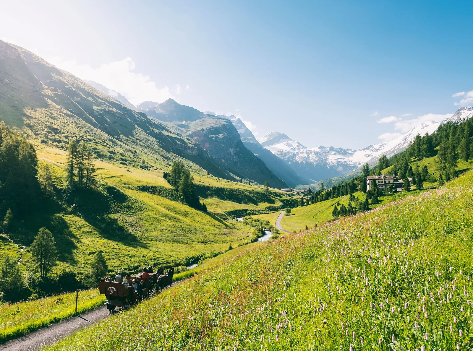 Pferdekutsche auf dem Weg durch das sommerliche Val Fex