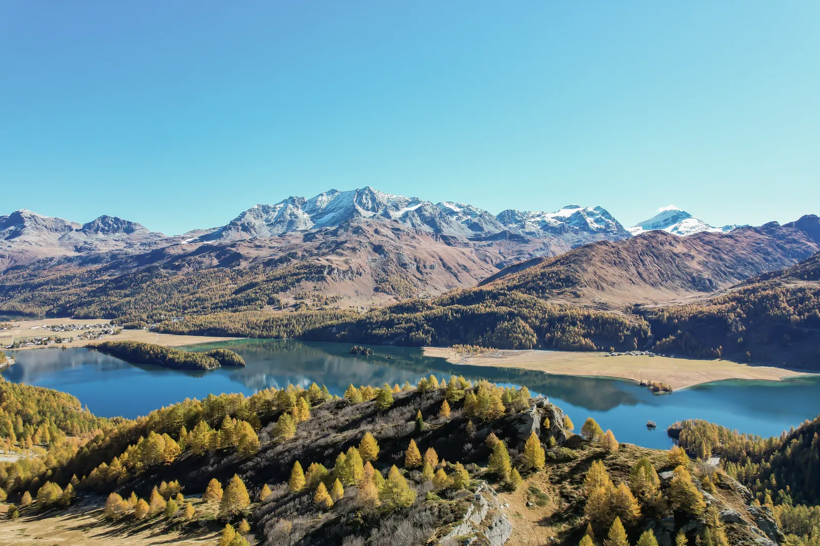 Les lacs de Sils et de Silvaplana en automne, mélèzes dorés