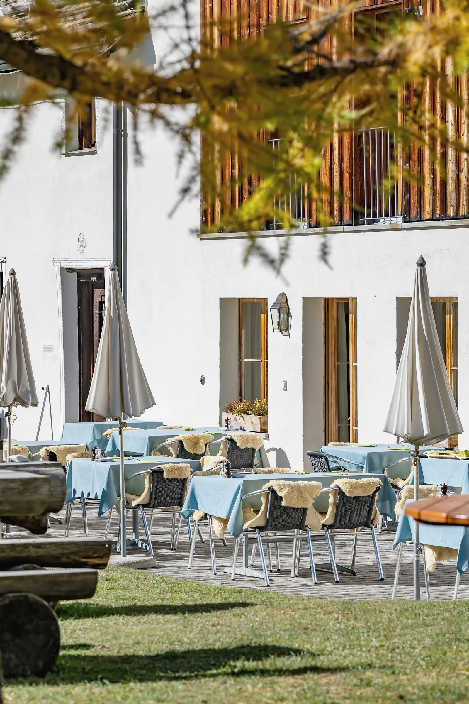 Terrazza apparecchiata sotto un ramo di larice