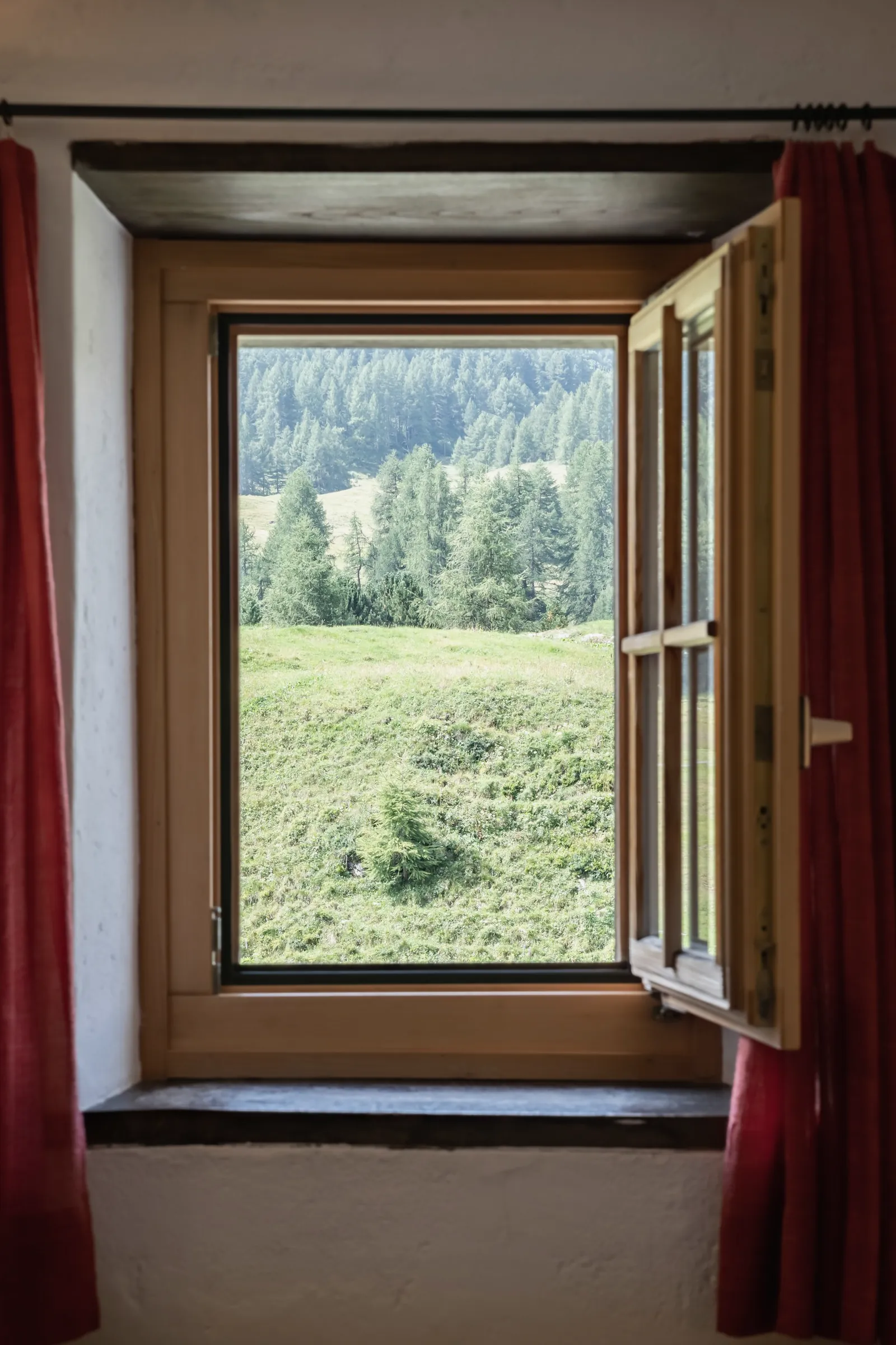 Offenes Fenster mit Blick auf Wiese und Wald